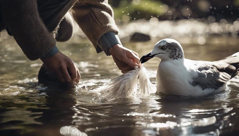 washing a seagull tutorial