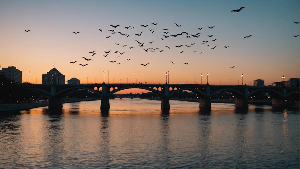 exploring austin s vibrant culture
